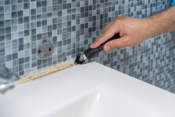 Best Industrial Mold Remediation in Davis Junction, IL